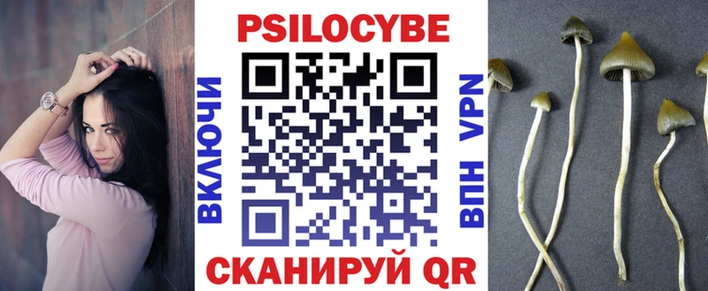 где продают   Чаплыгин  Псилоцибиновые грибы Psilocybine cubensis 